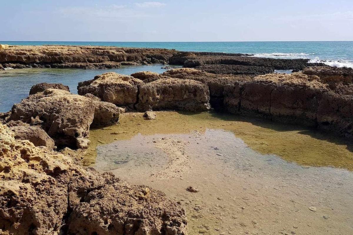 Albufeira, Vista Mar Apartment ภายนอก รูปภาพ